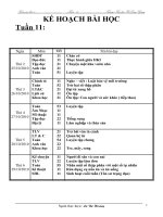 GA lớp 5 tuần 11 Chuẩn KTKN