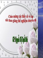 QUỐC GIA ĐÔNG NAM Á