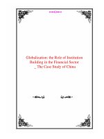 Globalization: the Role of Institution Building in the Financial Sector _ The Case Study of China