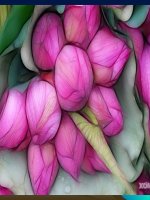 tiet 71 chiecluocnga