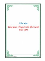 Tiểu luận Tổng quan về nguồn vốn hỗ trợ phát triển ODA