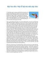 Hội Sáo đền: Một lễ hội thả diều độc đáo