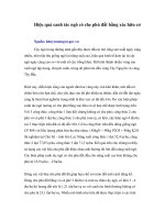 Hiệu quả canh tác ngô có che phủ đất bằng xác hữu cơ