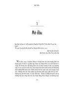 Nhung ong trum tai chinh - mở đầu