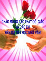 Điệp ngữ ( đã chỉnh)