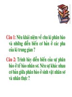 bài 29: Nguyên Phân