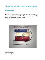 Thuật ngữ các điều khoản nhượng quyền thông dụng