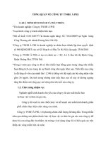 TỔNG QUAN VỀ CÔNG TY TNHH  Á PHI