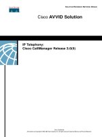 IP Telephony: Cisco CallManager Release 3.0(5)