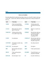 LỆNH DOS TRONG WINDOWS 2000: FILES & FOLDERS