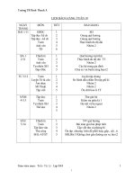 Giao an lop3, tuan 10 ( CKTKN )