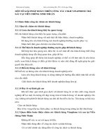 MỘT SỐ GIẢI PHÁP HOÀN THIỆN CÔNG TÁC CSKH VINAPHONE TRẢ SAU TẠI VIỄN THÔNG NINH THUẬN