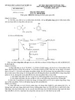 Đề thi chọn đổi tuyển quốc gia tỉnh Nghệ An năm học 2010 - 2011 (ngày 2)