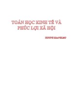 TOÁN HỌC KINH TẾ VÀ PHÚC LỢI XÃ HỘI