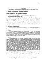 CÁC VIRUS RNA MỘT SỢI ÂM (CÓ ÁO NGOÀI) HÌNH QUE