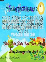 chat dan dien chat cach dien