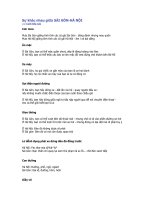 Sự khác nhau giữa SÀI GÒN và hà nội.doc