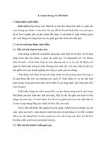 Lý luận chung về xuất khẩu