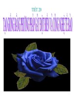 bài 19:Tạo giống bằng phương pháp gây đột biến và công nghệ tb