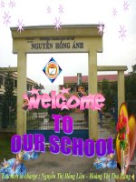 tác động của cin người đến môi trường