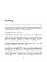 Glossary