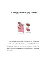 Các nguyên nhân gây khó thở