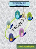 Đột biến số lương NST (tiết 2)