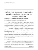 Thực trạng phân tích tính hình tài chính tại công ty cổ phần chế tạo máy biến thế Hà Nội