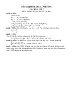 đề thi học sinh giỏi toán 7 co đáp án