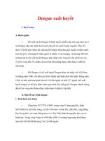 Giáo trình Dengue xuất huyết
