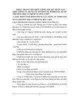 THỰC TRẠNG TỔ CHỨC CÔNG TÁC KẾ TOÁN VẬT LIỆU CÔNG CỤ DỤNG CỤ Ở CÔNG TY TNHH SẢN XUẤT THƯƠNG MẠI VÀ DỊCH VỤ ĐỨC VIỆT