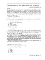 Unfied Messaging-Xu hướng và khả năng áp dụng tại Việt Nam