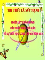 phan thuc dai so 8