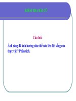 Bai 43 anh huong cua nhiet do va do am len doisong sinh vat