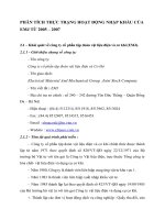 PHÂN TÍCH THỰC TRẠNG HOẠT ĐỘNG NHẬP KHẨU CỦA EMJ TỪ 2005