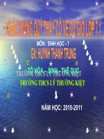 sinh 7: bai 27 chuan