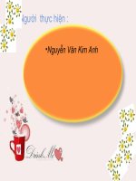 Giáo án Giỏi Cấp Tỉnh