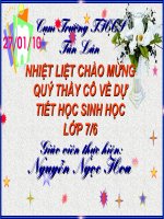 Tiết 45 sinh 7: Chim bồ câu