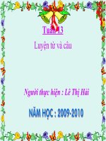 luyện từ và câu tuần 13