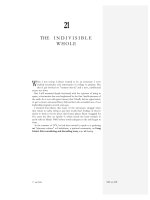 THE I N D I V I S I B L E WHOLE