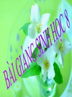 bài 27- Tiêu hóa ở dạ dày