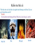 BÀI 10 ĐẶC ĐIỂM CHUNG VÀ VAI TRO CỦA RUỘT KHOANG