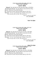 Giấy mời chi đoàn 2010-2011