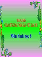 bài 28 tiết 24: Tiêu hóa và các cơ quan tiêu hóa