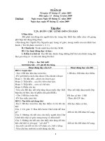 GIÁO ÁN LỚP 5 TUẦN 15 THEO  CKTKN