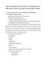 THỰC TRẠNG KẾ TOÁN TIÊU THỤ VÀ XÁC ĐỊNH KẾT QUẢ  TIÊU THỤ TẠI CÔNG TY CỔ PHẦN CÔNG NGHỆ ỨNG DỤNG