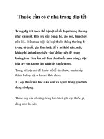 Thuốc cần có ở nhà trong dịp tết