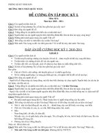 DE CUONG + DAP AN ON TAP SU 6 HKI-10-11