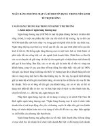 NGÂN HÀNG THƯƠNG MẠI VÀ RỦI RO TÍN DỤNG  TRONG NỀN KINH TẾ THỊ TRƯỜNG