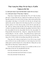 Thực trạng huy động vốn tại công ty cổ phần Viglacera Hà Nội